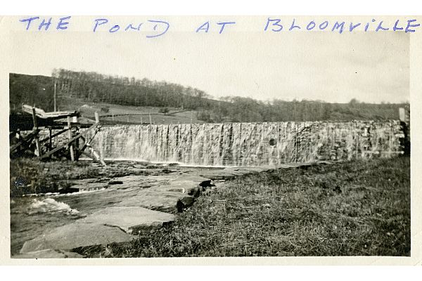 Town of Stamford History Photo Collection